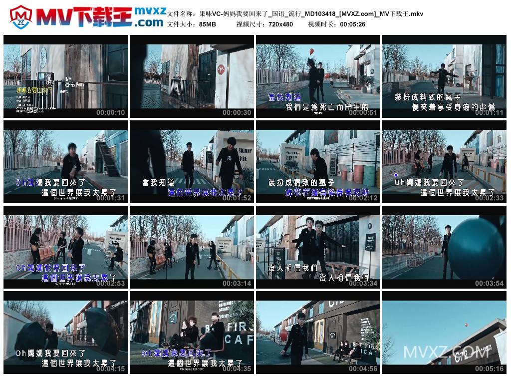 果味VC-妈妈我要回来了_国语_流行_MD103418